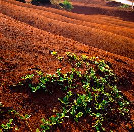 《光明旅者》新作公布 2023年春季登陆抢先体验